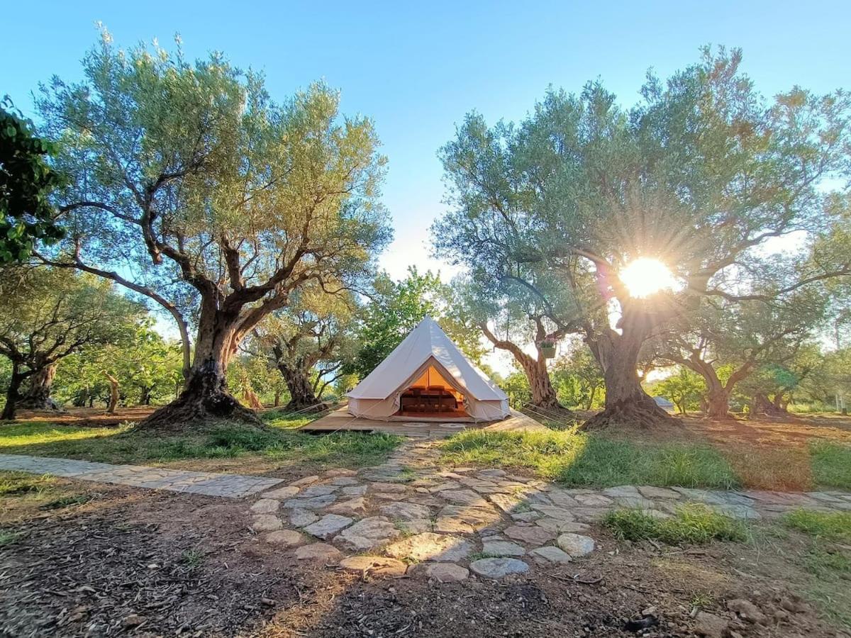Golden Camp Hotell Falerna Eksteriør bilde