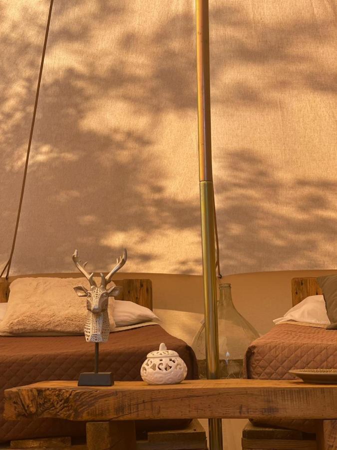 Golden Camp Hotell Falerna Rom bilde